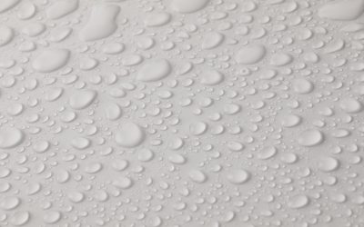 5 Hidden Costs of Neglecting Property Maintenance in Sacramento: Protect Your Investment