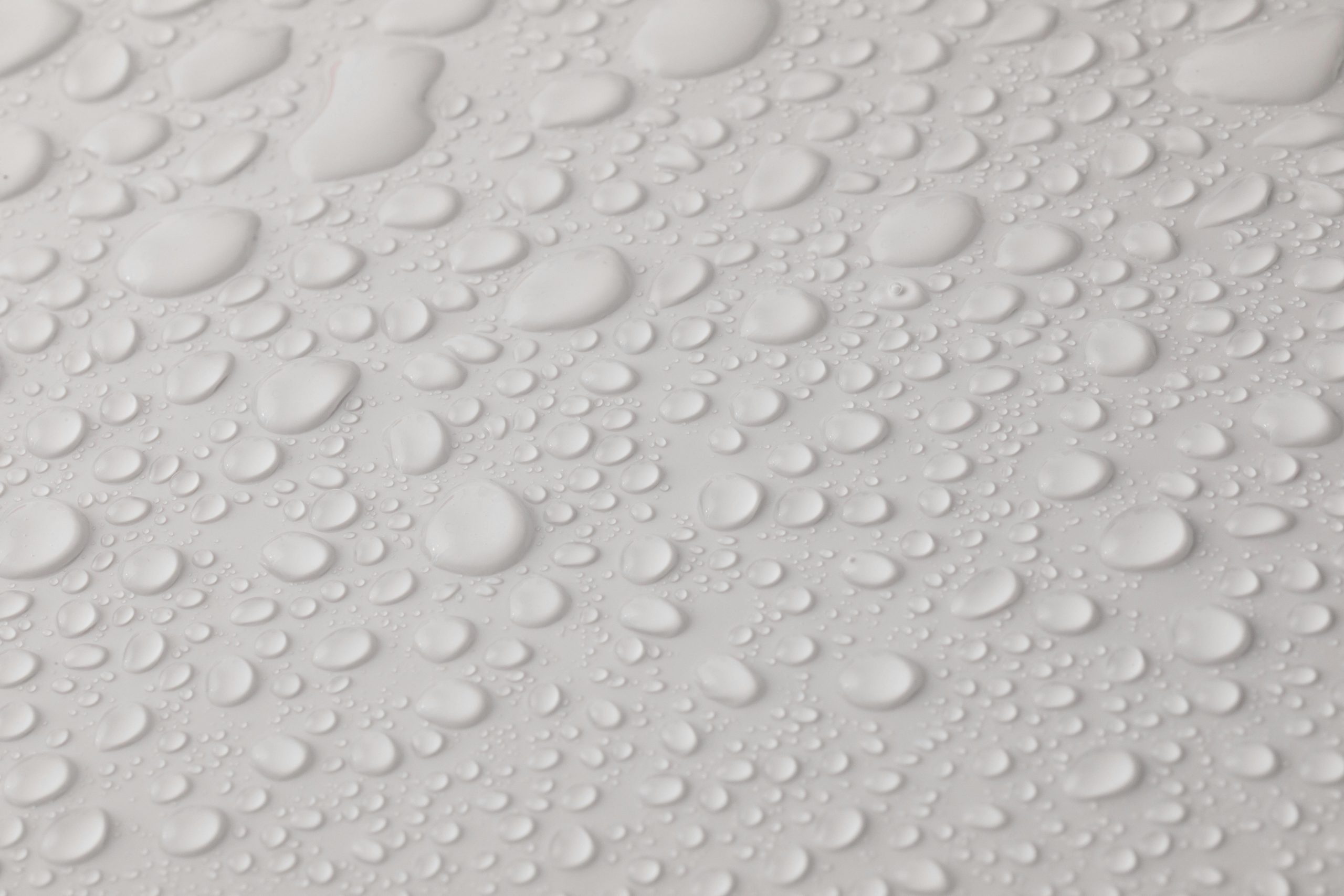 Property Maintenance